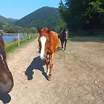 Séjour à la ferme Krolowo Tylmanowa