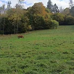 Krolowo * Tylmanowa
