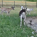 Krolowo Farm stay