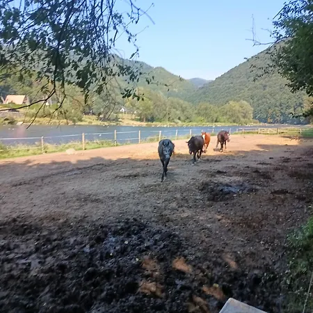 Krolowo Çiftlik konaklama Tylmanowa