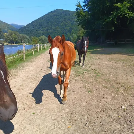 Çiftlik konaklama Krolowo Tylmanowa