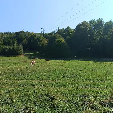 Krolowo Tylmanowa
