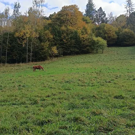 Krolowo * Tylmanowa