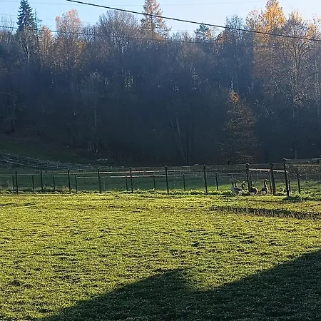 Krolowo Séjour à la ferme