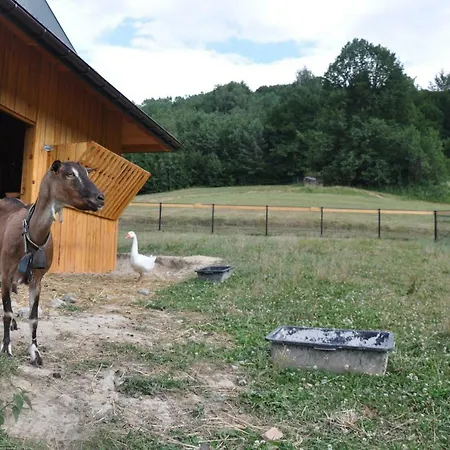 Krolowo Agroturismo Tylmanowa