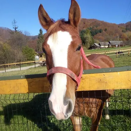 ファームステイ Krolowo *