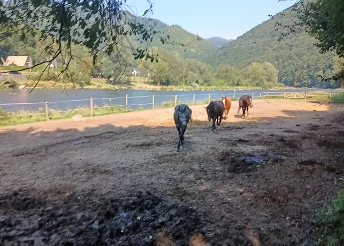 Krolowo Feriegård Tylmanowa