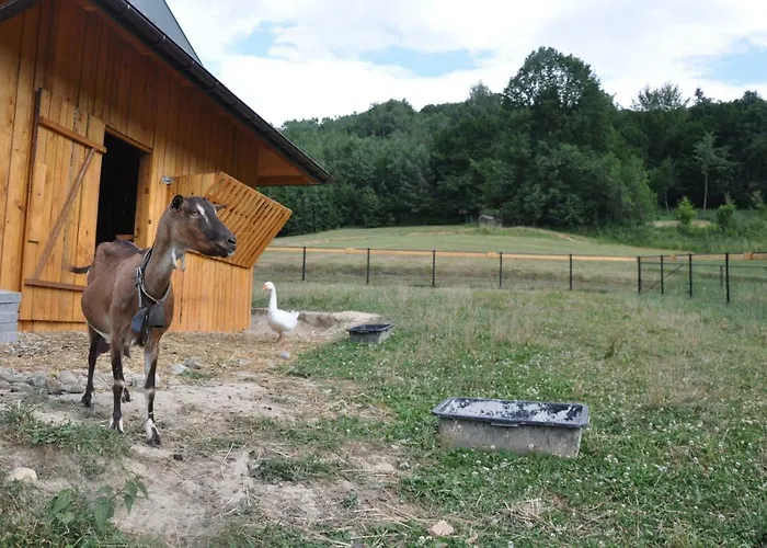 Krolowo Feriegård Tylmanowa